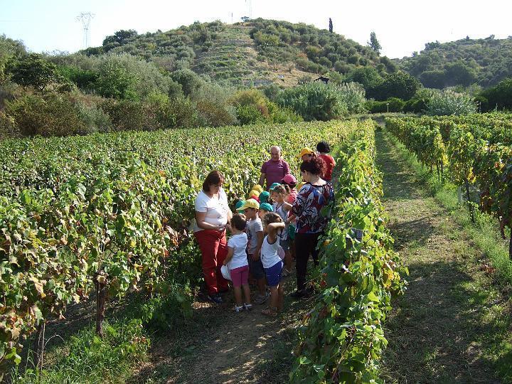 Agriturismo Parra Santa Lucia del Mela Екстериор снимка