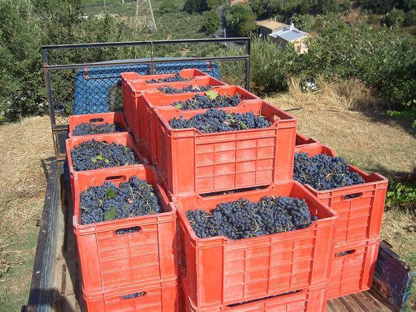Agriturismo Parra Santa Lucia del Mela Екстериор снимка