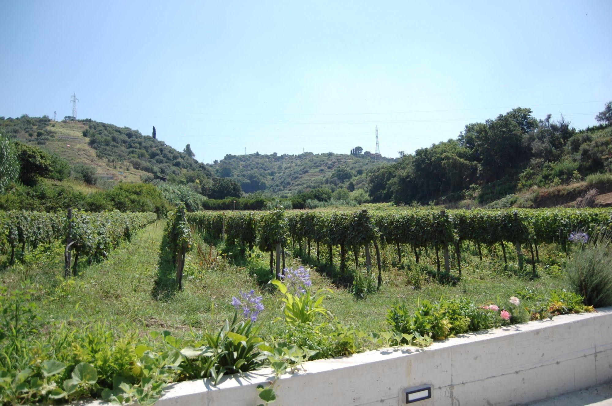 Agriturismo Parra Santa Lucia del Mela Екстериор снимка
